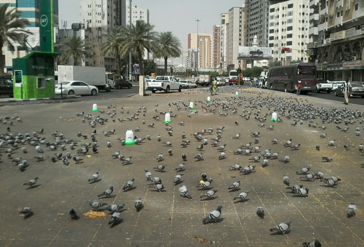 000-463356561459603669509